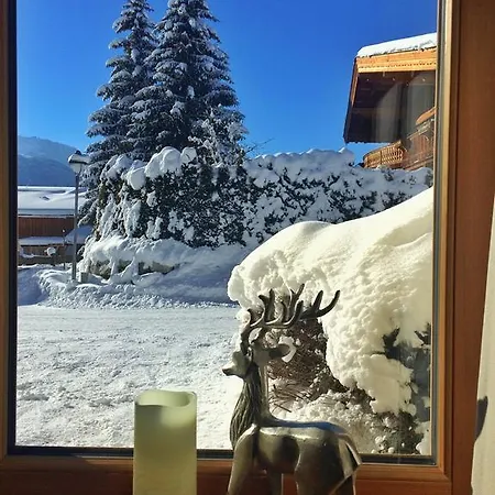 Am Wilden Kaiser Landhausstudios * المو