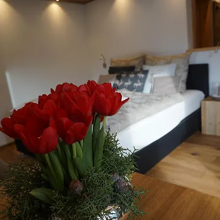 Am Wilden Kaiser Landhausstudios Pensión *